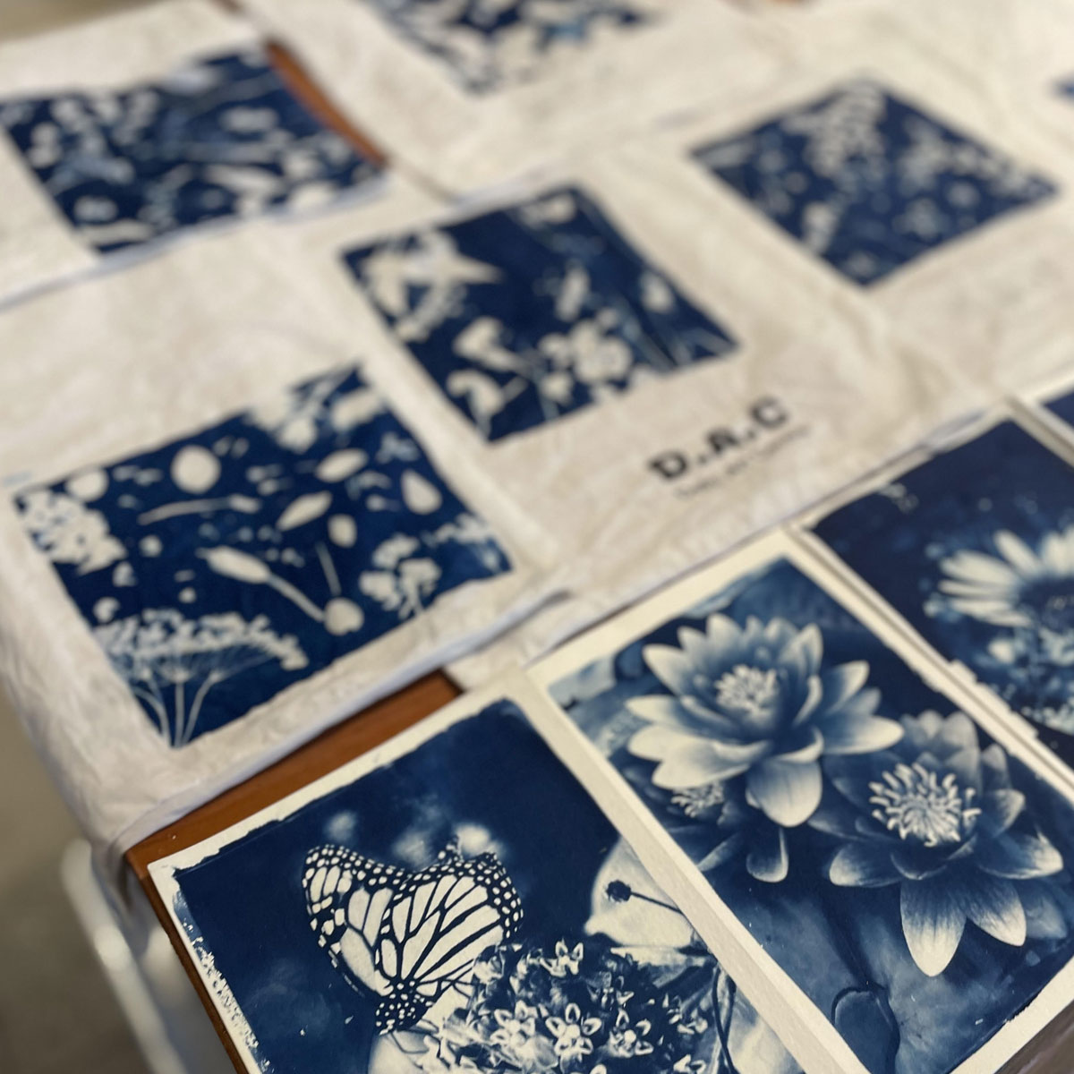 CYANOTYPE WORKSHOP